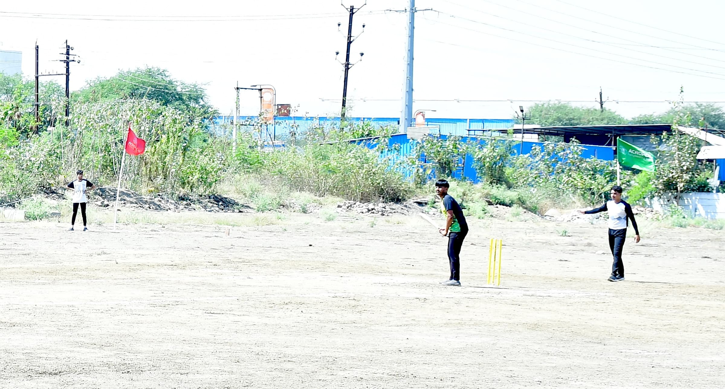 CRICKET
